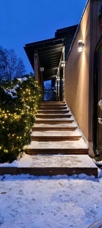 Luxury Villa Rauhankatu Rovaniemi Buitenkant foto